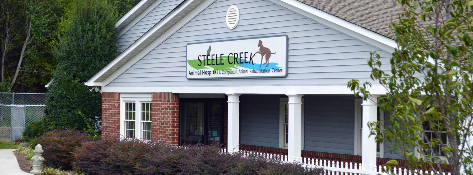 Veterinarian in Charlotte, NC Steele Creek Animal Hospital