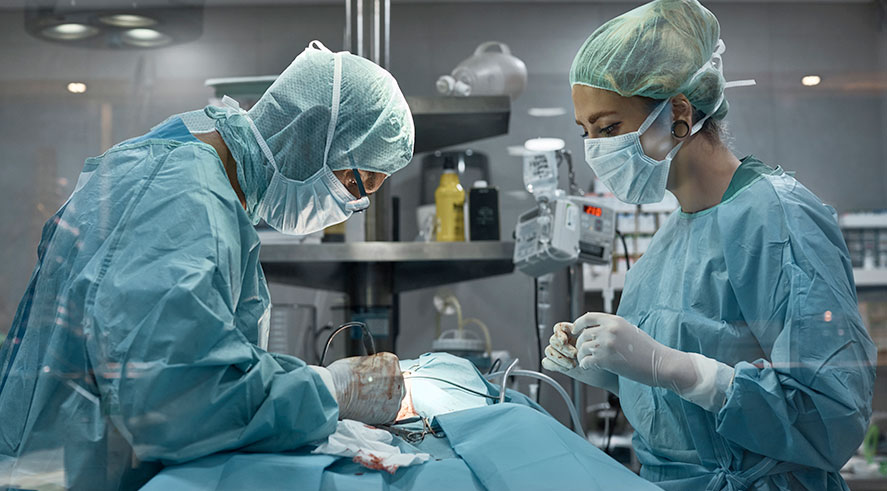 vets in surgery