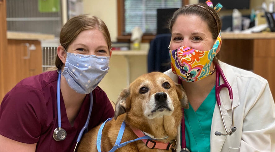 dr and staff with dog