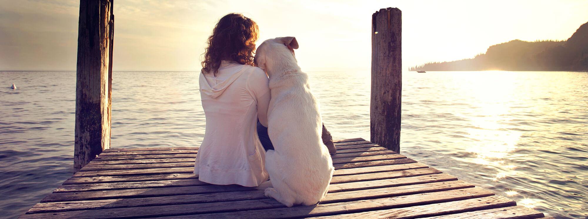 sitting with pet watching sunset3