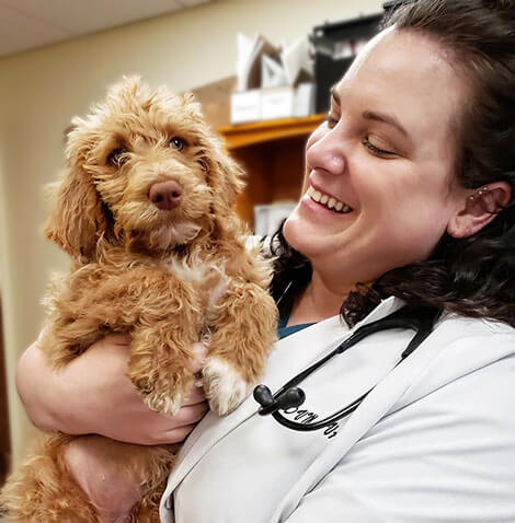 Dr. Schuver with brown dog 2